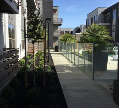 Haven Apartments 12